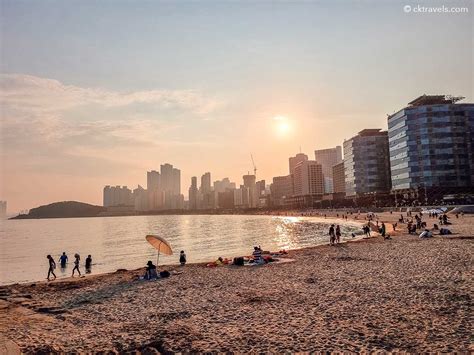 해운대해수욕장, 바다의 노래와 도시의 숨결이 만나는 곳