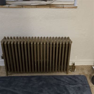 Radiator, A Glimpse into 1920s Existentialism and Mechanical Romance!